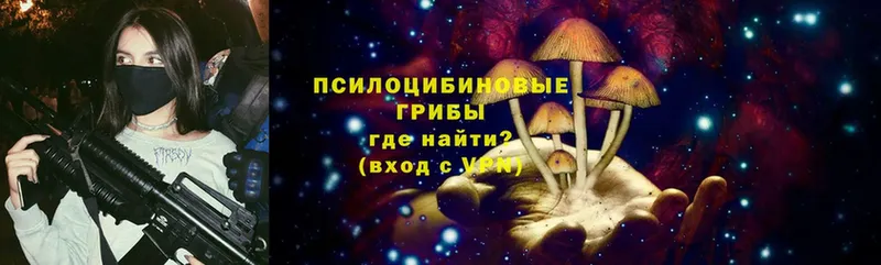 Галлюциногенные грибы Cubensis  цены   Северодвинск 